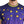 Dolce & Gabbana Purple Cotton Round Neck T-Shirt with Pig Motif