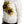 Dolce & Gabbana Elegant Knitted Sunflower Sweater