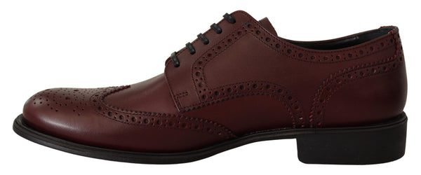 Dolce &amp; Gabbana Bordeaux nahkaiset Oxford Wingtip -muodolliset kengät