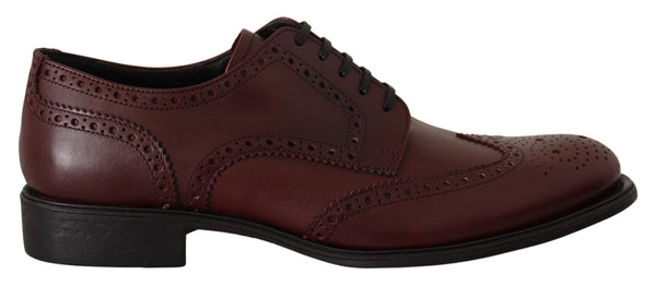 Dolce &amp; Gabbana Bordeaux nahkaiset Oxford Wingtip -muodolliset kengät