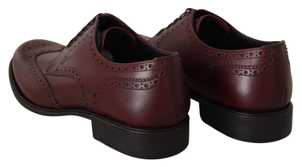 Dolce &amp; Gabbana Bordeaux nahkaiset Oxford Wingtip -muodolliset kengät