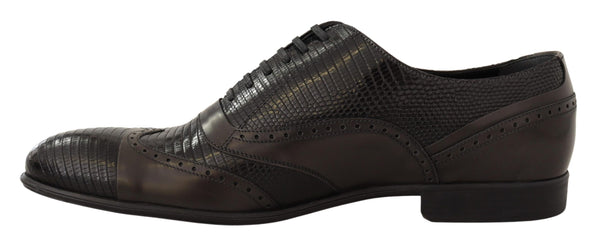 Dolce &amp; Gabbana Brown Lizard Skin -nahkaiset Oxford-mekkokengät