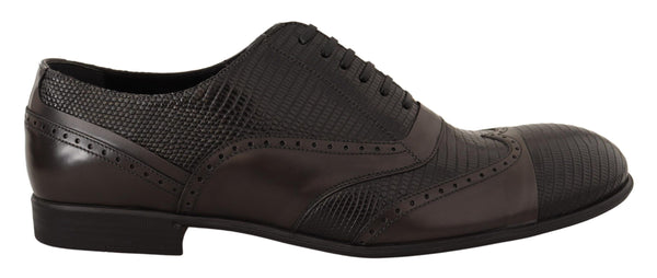 Dolce &amp; Gabbana Brown Lizard Skin -nahkaiset Oxford-mekkokengät