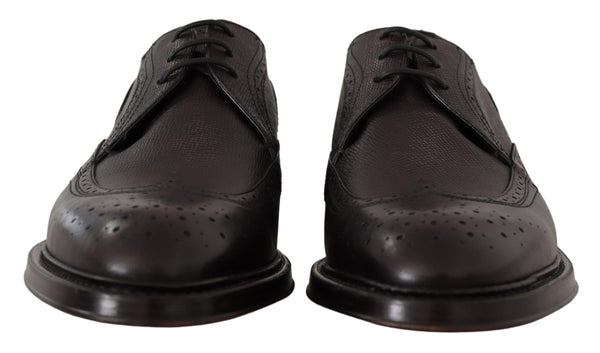 Dolce & Gabbana Elegant Purple Wingtip Men's Formal Shoes