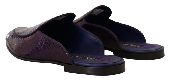 Dolce &amp; Gabbana Purple Exotic Leather Flats Slides -kengät