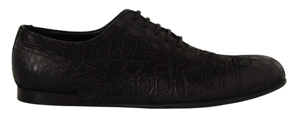 Dolce &amp; Gabbana Black Caiman -nahkaiset miesten Oxford-kengät