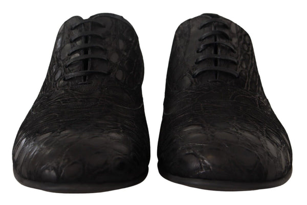 Dolce &amp; Gabbana Black Caiman -nahkaiset miesten Oxford-kengät