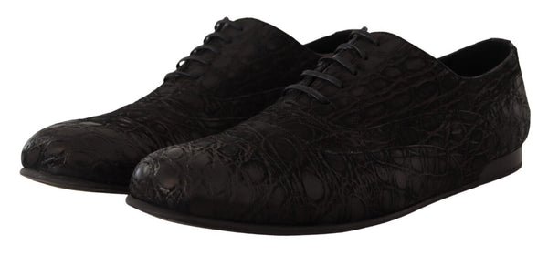 Dolce &amp; Gabbana Black Caiman -nahkaiset miesten Oxford-kengät