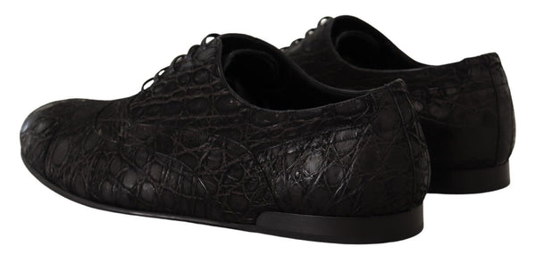 Dolce &amp; Gabbana Black Caiman -nahkaiset miesten Oxford-kengät