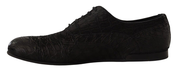 Dolce &amp; Gabbana Black Caiman -nahkaiset miesten Oxford-kengät