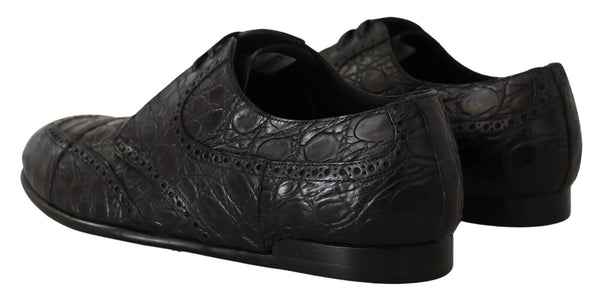 Dolce &amp; Gabbana Black Caiman -nahkaiset miesten derbykengät