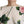 Dolce & Gabbana White Rose Print pitkähihainen A-linjainen mekko