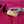 Dolce & Gabbana Pink Zipper Buckle Waist Housut