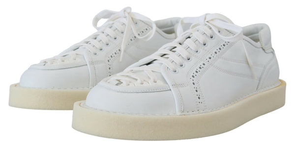 Dolce &amp; Gabbana White Leather Low Top Oxford Sneakers vapaa-ajan kengät