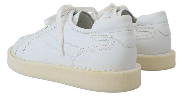 Dolce &amp; Gabbana White Leather Low Top Oxford Sneakers vapaa-ajan kengät