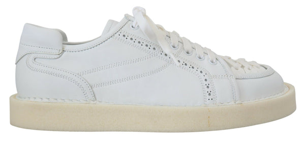 Dolce &amp; Gabbana White Leather Low Top Oxford Sneakers vapaa-ajan kengät