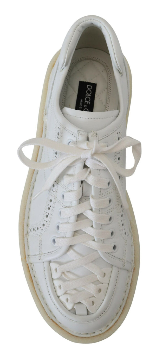 Dolce &amp; Gabbana White Leather Low Top Oxford Sneakers vapaa-ajan kengät