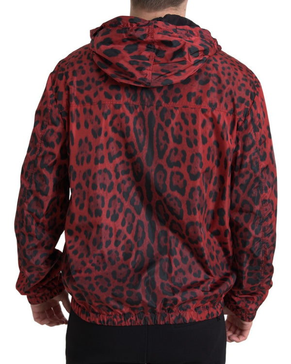 Dolce &amp; Gabbana Red Leopard -hupullinen Bomber-takki