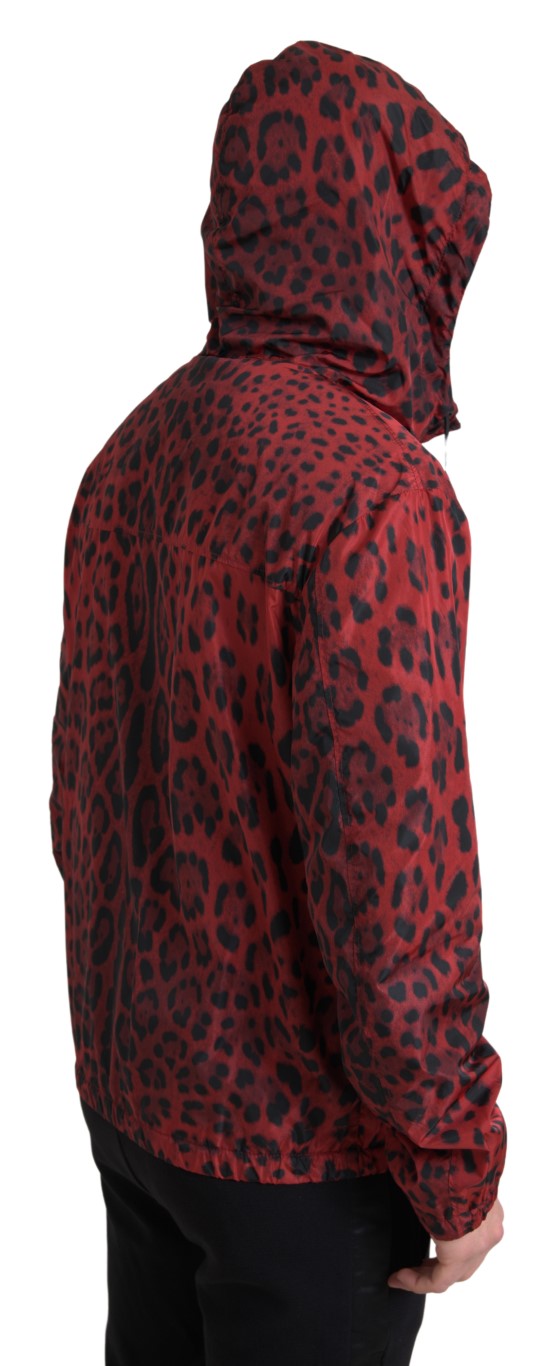 Dolce &amp; Gabbana Red Leopard -hupullinen Bomber-takki