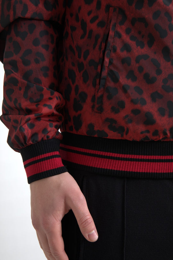 Dolce &amp; Gabbana Red Leopard Bomber lyhyt takki