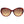 Swarovski Brown Women Sunglasses