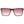 Ted Baker Red Men Sunglasses