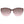 Ted Baker Pink Women Sunglasses