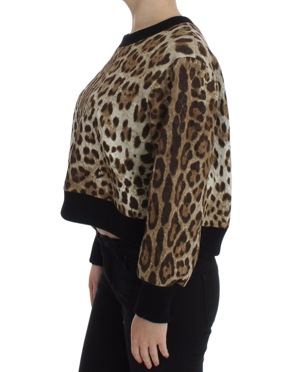 Dolce &amp; Gabbana Leopard Print Crewneck lyhyt villapaita