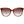 Ted Baker Brown Women Sunglasses