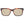 Ted Baker Multicolor Men Sunglasses