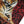 Dolce & Gabbana Multicolor Tiger Print Cotton Short Sleeves T-shirt