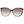 Jimmy Choo Brown Women Sunglasses