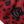 Dolce & Gabbana Red Leopard Logo Wrist Length Gloves