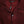 Dolce & Gabbana Maroon Crown Jacquard Silk Long Sleeve Shirt