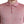 Dolce & Gabbana Pink Polyester Collared Men Pullover Sweater