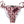 Dolce & Gabbana Bordeaux DG Mania Print Bottom Beachwear Bikini