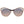 Emilio Pucci Rose Gold Women Sunglasses