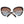 Emilio Pucci Brown Women Sunglasses