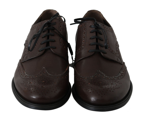 Dolce & Gabbana Elegant Brown Leather Derby Brogues