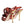 Dolce & Gabbana Coral Exotic Leather Heels Sandals Shoes