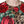 Dolce & Gabbana Brown Leopard Red Roses Cotton A-line Dress