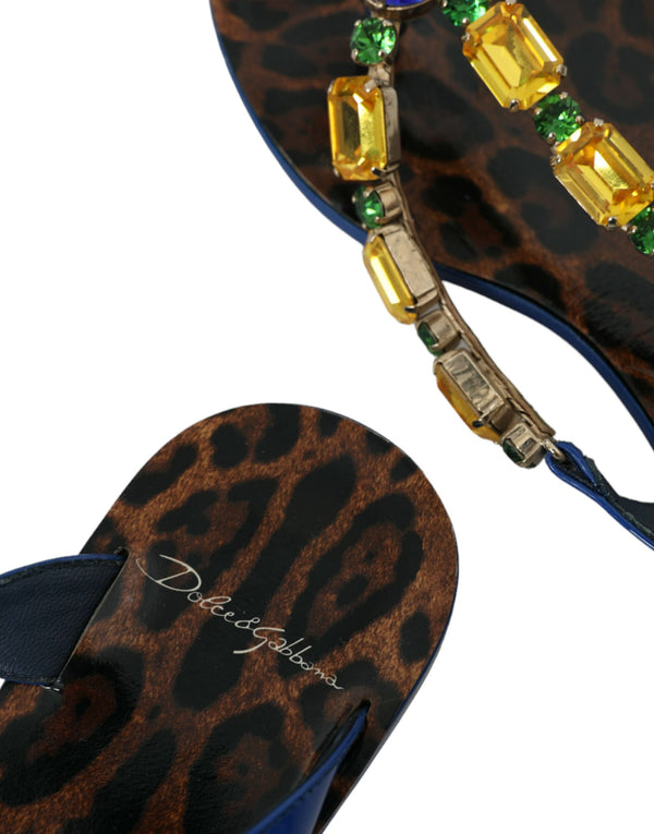 Dolce & Gabbana Blue Crystal Calf Leather Beachwear Shoes