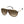 Carrera Brown Acetate Sunglasses