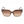 Swarovski Brown Plastic Sunglasses