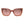 Swarovski Brown Plastic Sunglasses