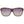 Swarovski Brown Injected Sunglasses