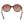 Swarovski Brown Acetate Sunglasses