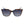 Longchamp Blue Acetate Sunglasses