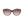 Longchamp Brown Acetate Sunglasses