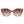 Longchamp Red Acetate Sunglasses